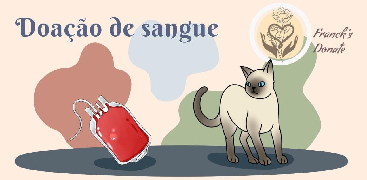 imagem de abertura